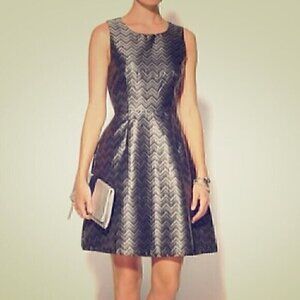NEW NWT PIM LARKIN Lena Brocade Dress Black Silver Chevron Fit Flare Party Small